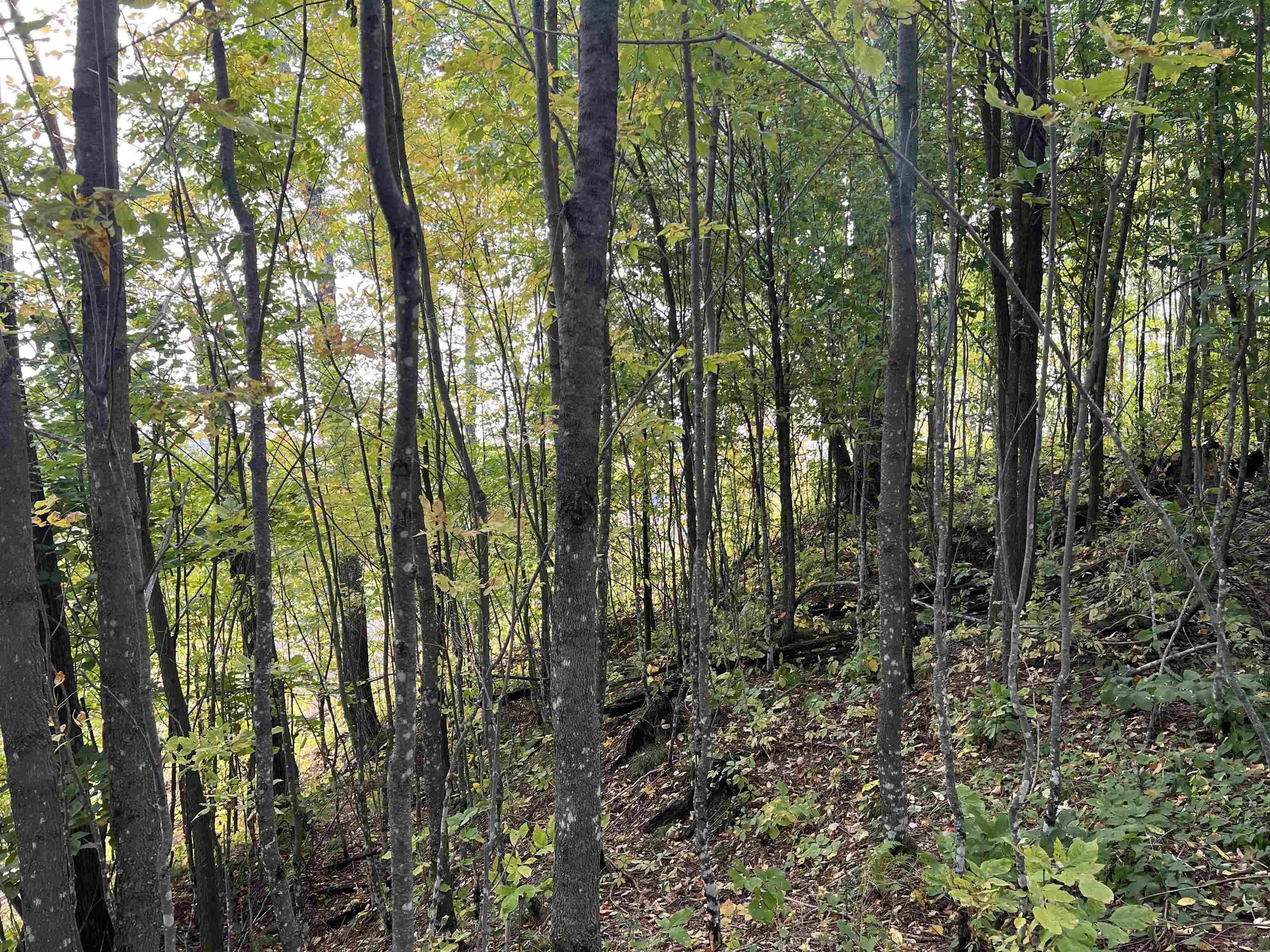 Xxx Ford River Road Felch, MI 49831 - Photo 1 of 32 Gallery Image 1