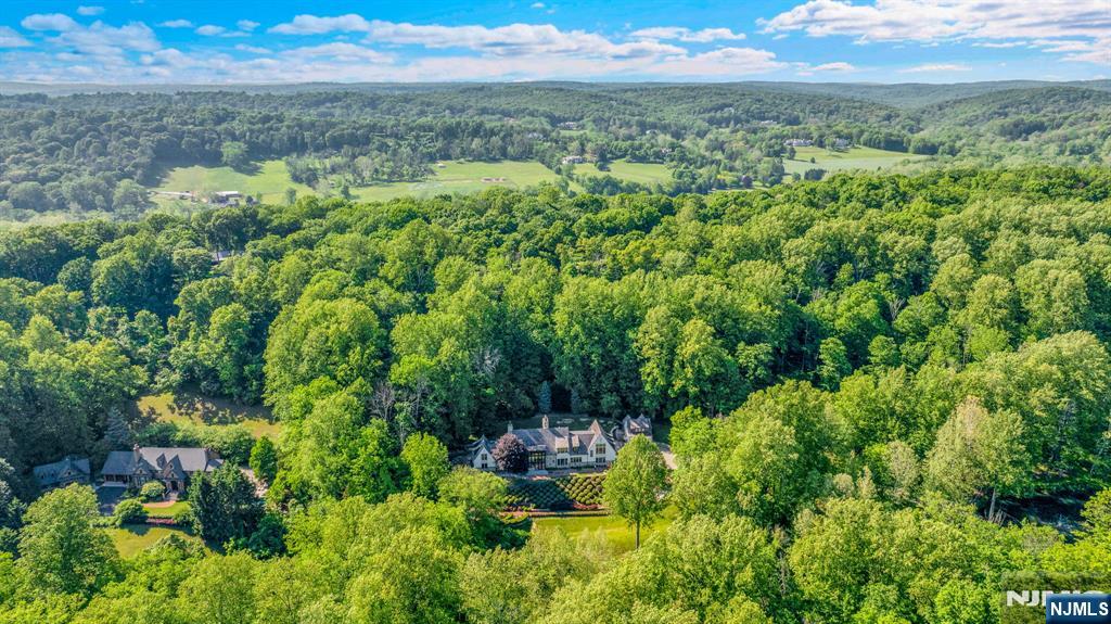 171 Campbell Road Bernardsville, NJ 07924 - Photo 47 of 50