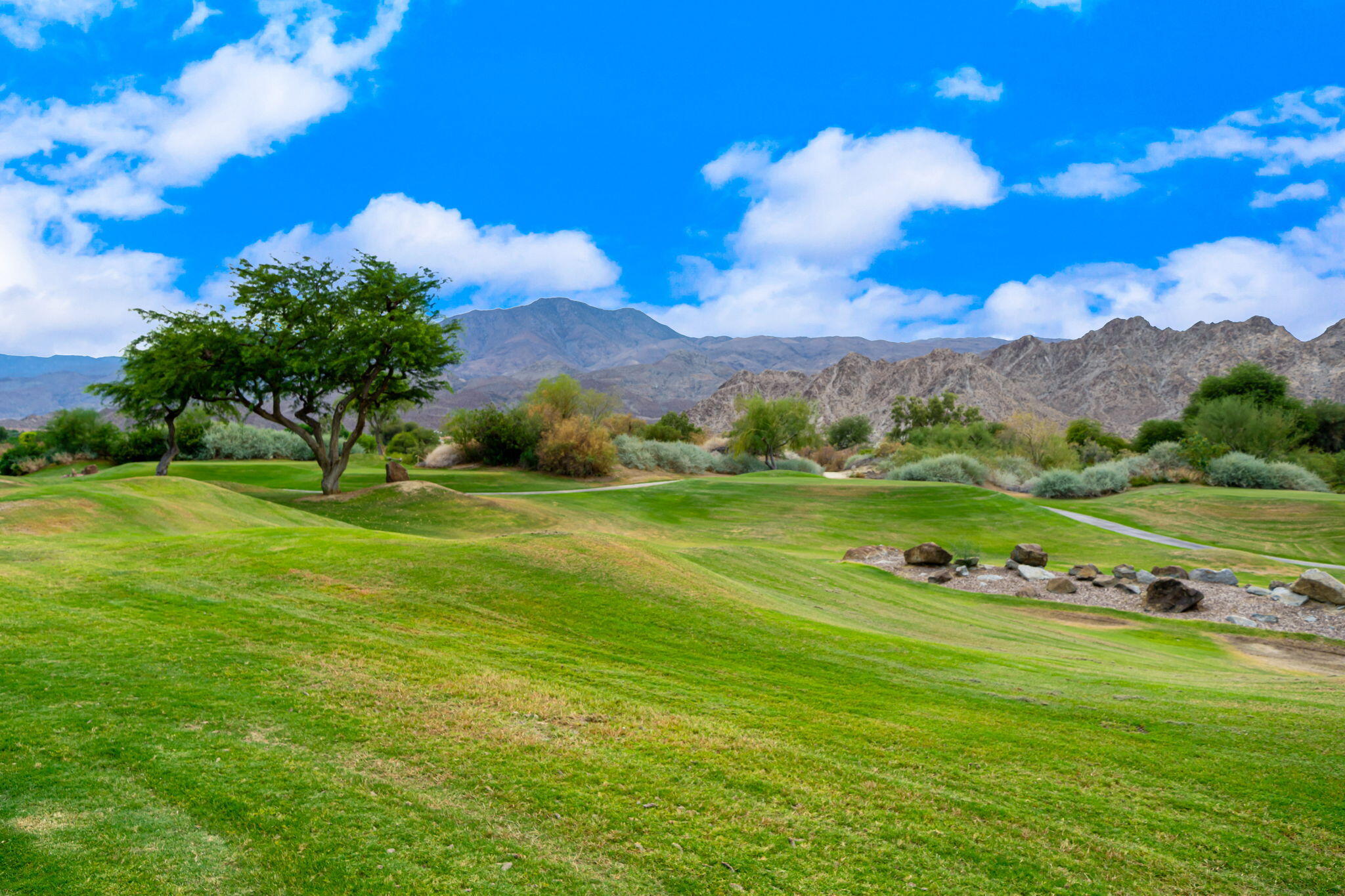 56765 Merion La Quinta, CA 92253 - Photo 25 of 55 24-web-or-mls-DDMerion_OPMG_0725_024