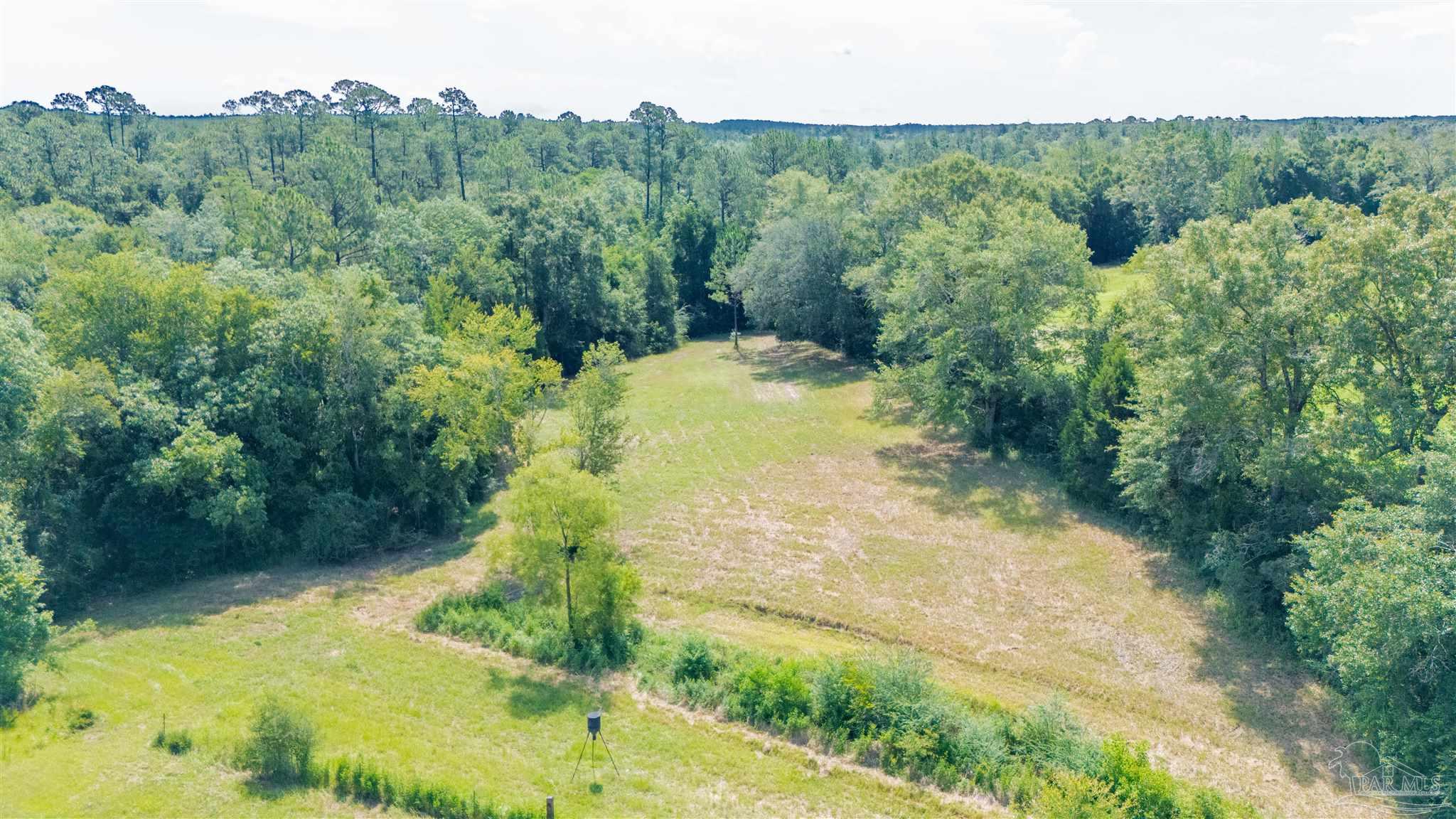 1400 Jacks Branch Road Cantonment, FL 32533 - Photo 6 of 18