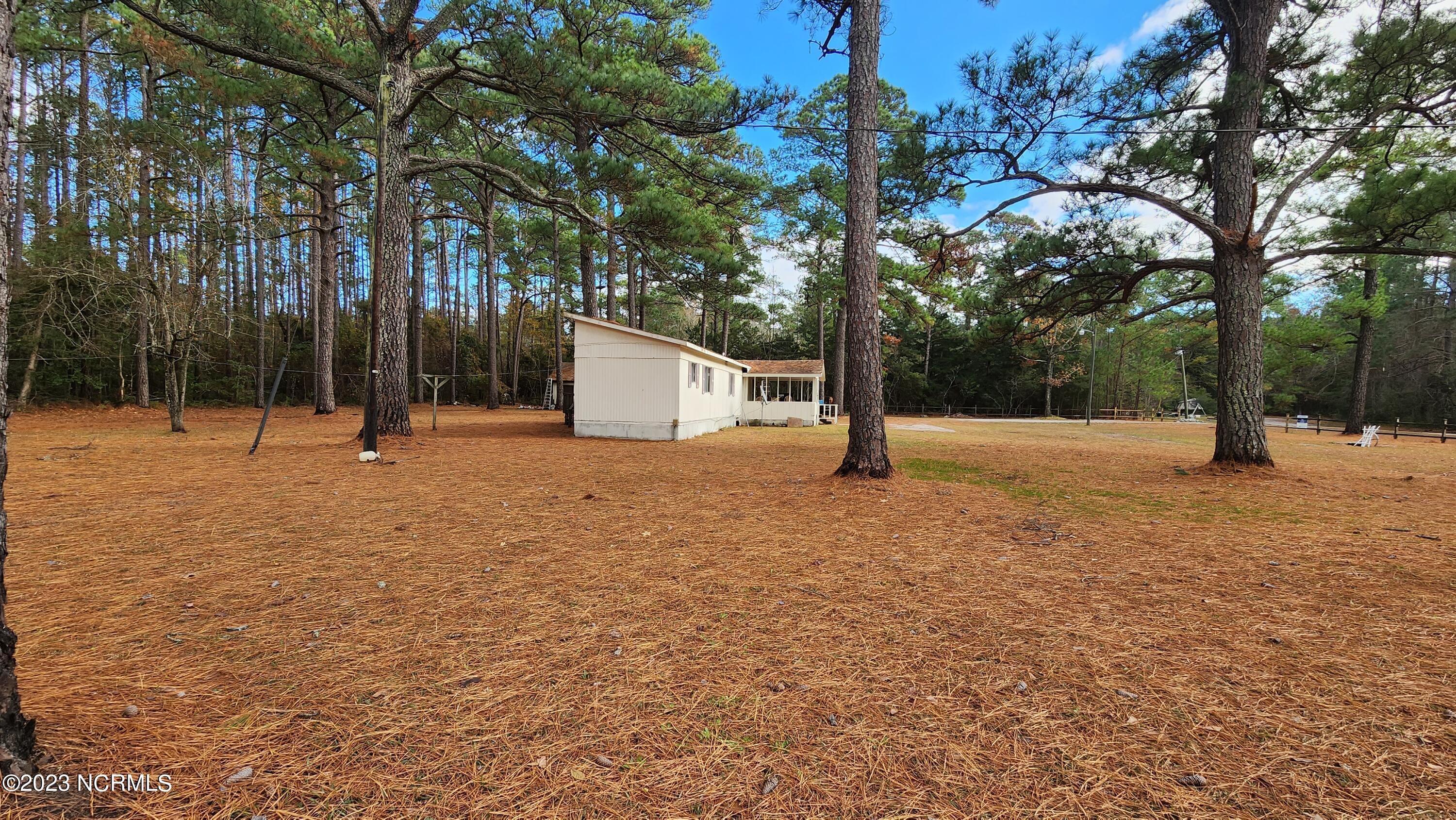 184 North Pigott Road Gloucester, NC 28528 - Photo 7 of 8 Beautiful mature Pine Trees!