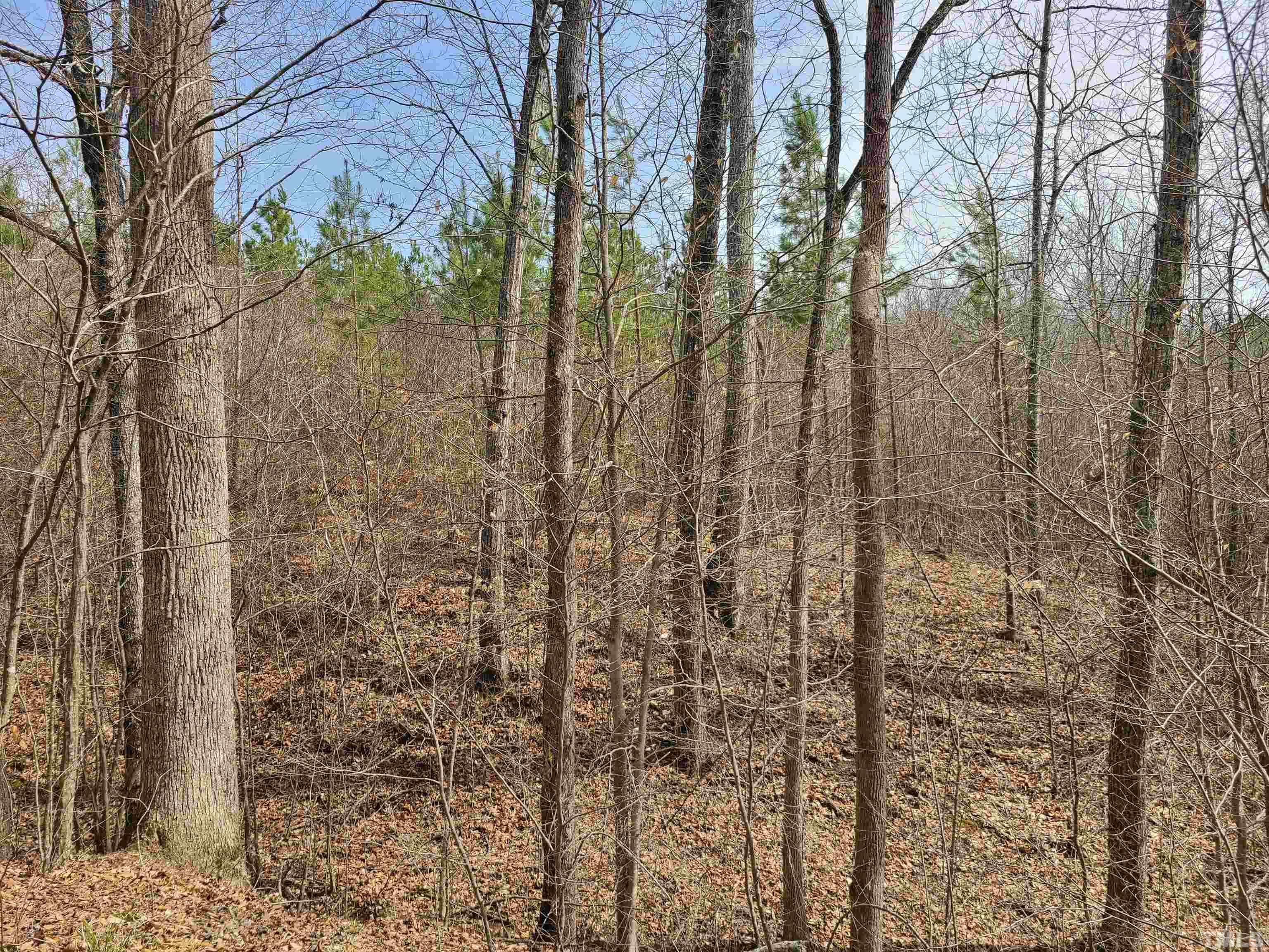 365 Hightowers Road Mebane, NC 27302 - Photo 4 of 4 Gallery Image 4