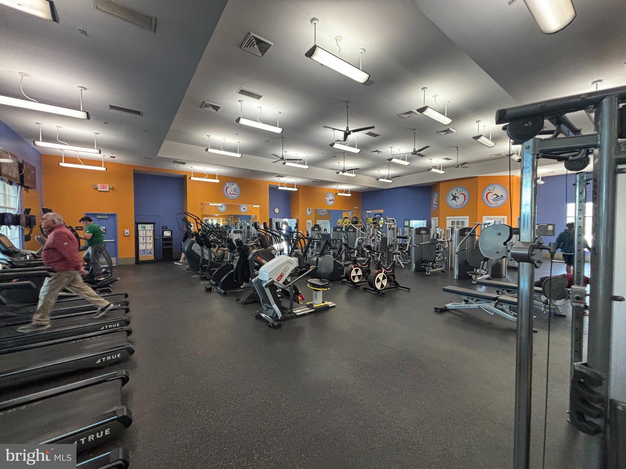 247 Sills Lane Downingtown, PA 19335 - Photo 21 of 24 Fitness center