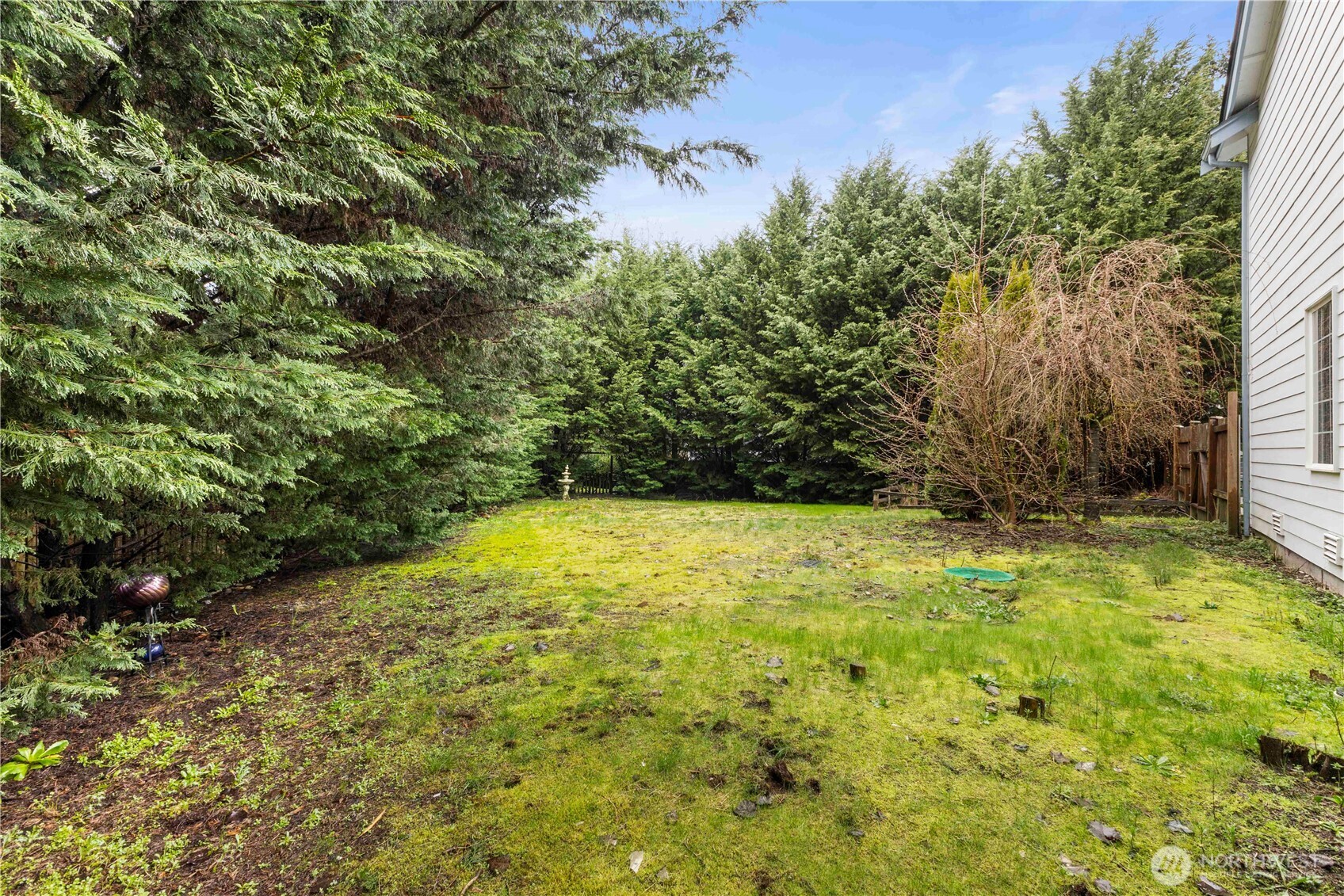 4604 244th St Court East Graham, WA 98338 - Photo 35 of 38