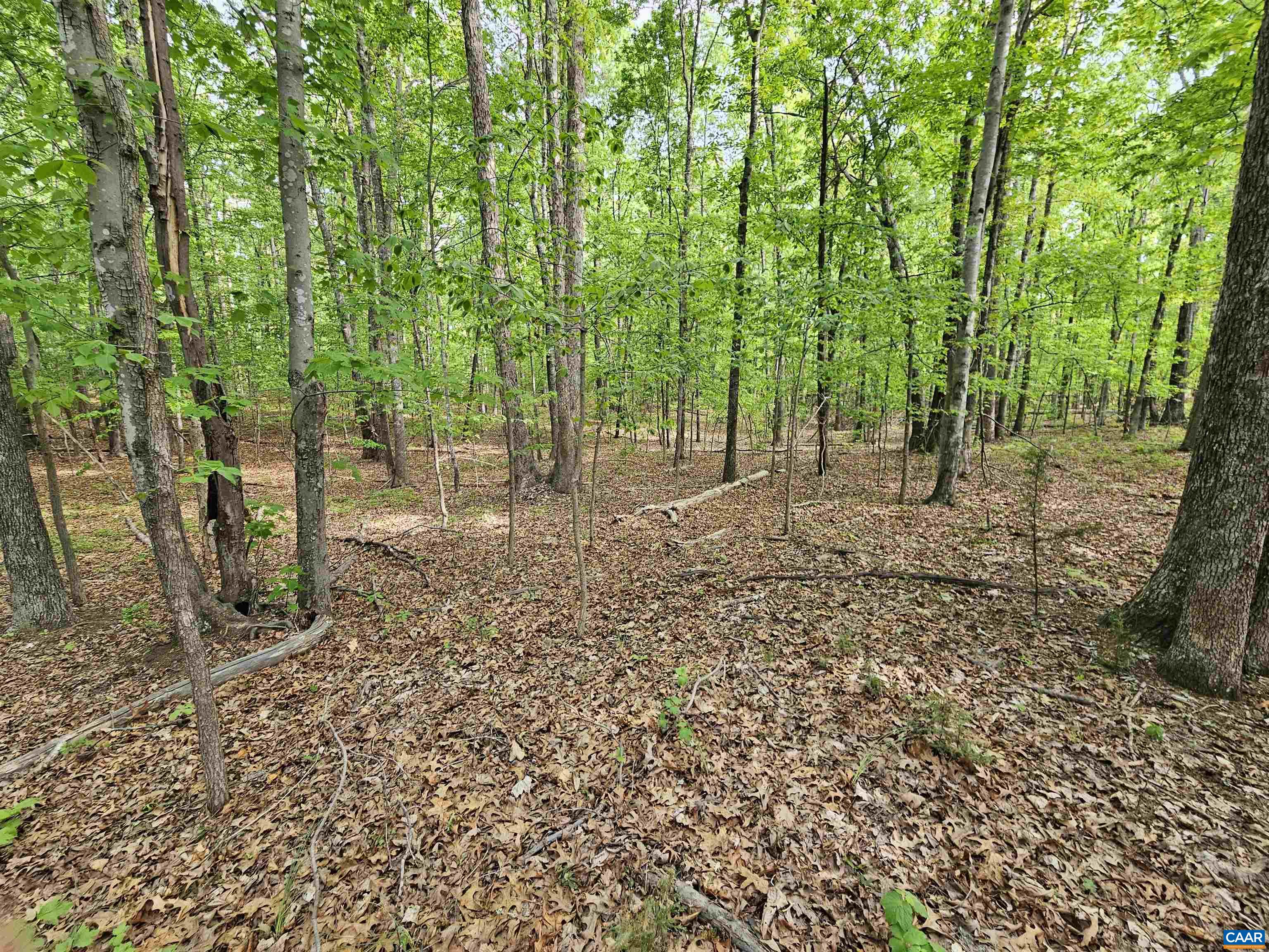 8.65-ac Pond Road Buckingham, VA 23921 - Photo 20 of 23 Gallery Image 20