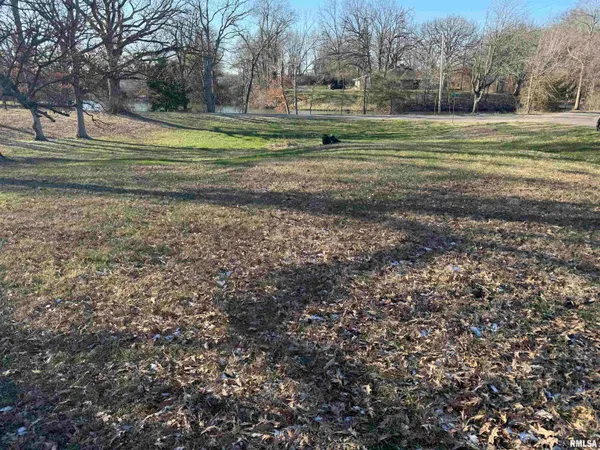 $47,900 | Lot 10 Lakeside Drive, Taylorville, IL 62568