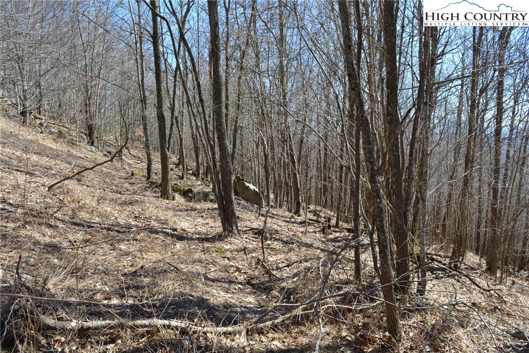Holiday Lane Whitetop, VA 24292 - Photo 3 of 12 a view of a backyard of the house