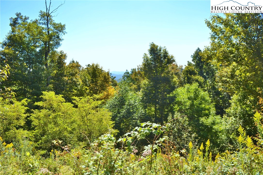 Holiday Lane Whitetop, VA 24292 - Photo 6 of 12 a view of a lush green forest with lawn chairs