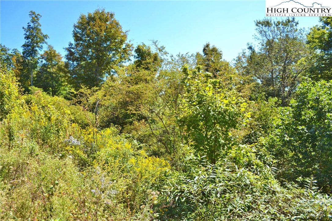 Holiday Lane Whitetop, VA 24292 - Photo 7 of 12