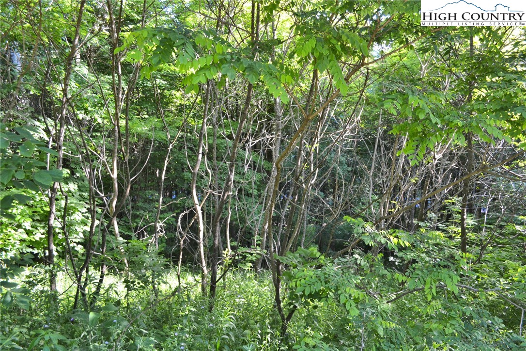 Holiday Lane Whitetop, VA 24292 - Photo 9 of 12 a view of a garden