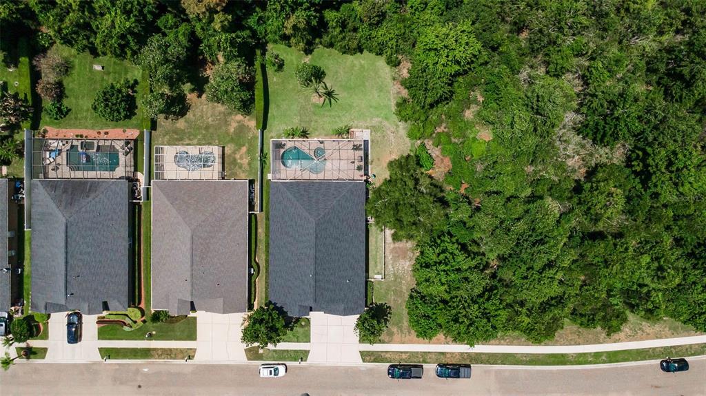 16207 Rambling Road Odessa, FL 33556 - Photo 54 of 76