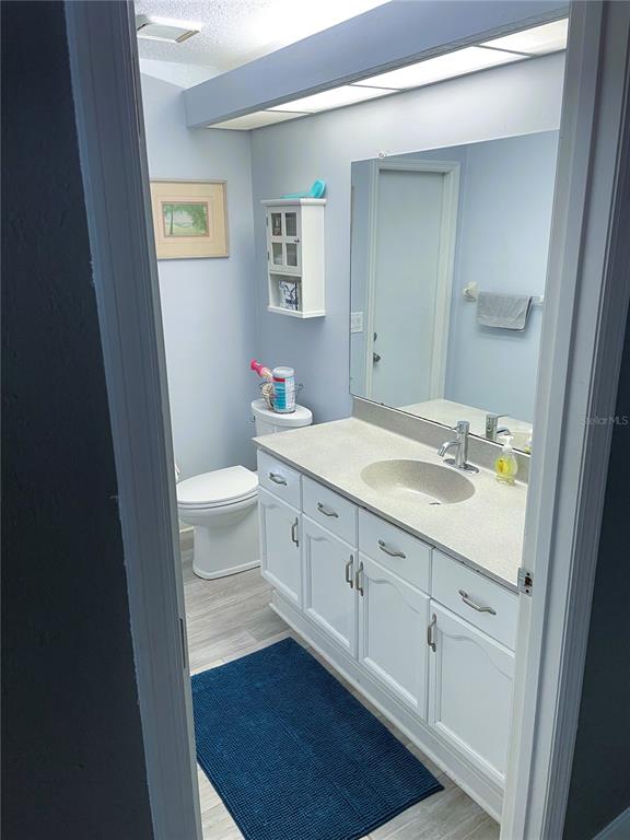 2571 Running Oak Court Spring Hill, FL 34608 - Photo 32 of 37 a bathroom with a sink a toilet and a mirror