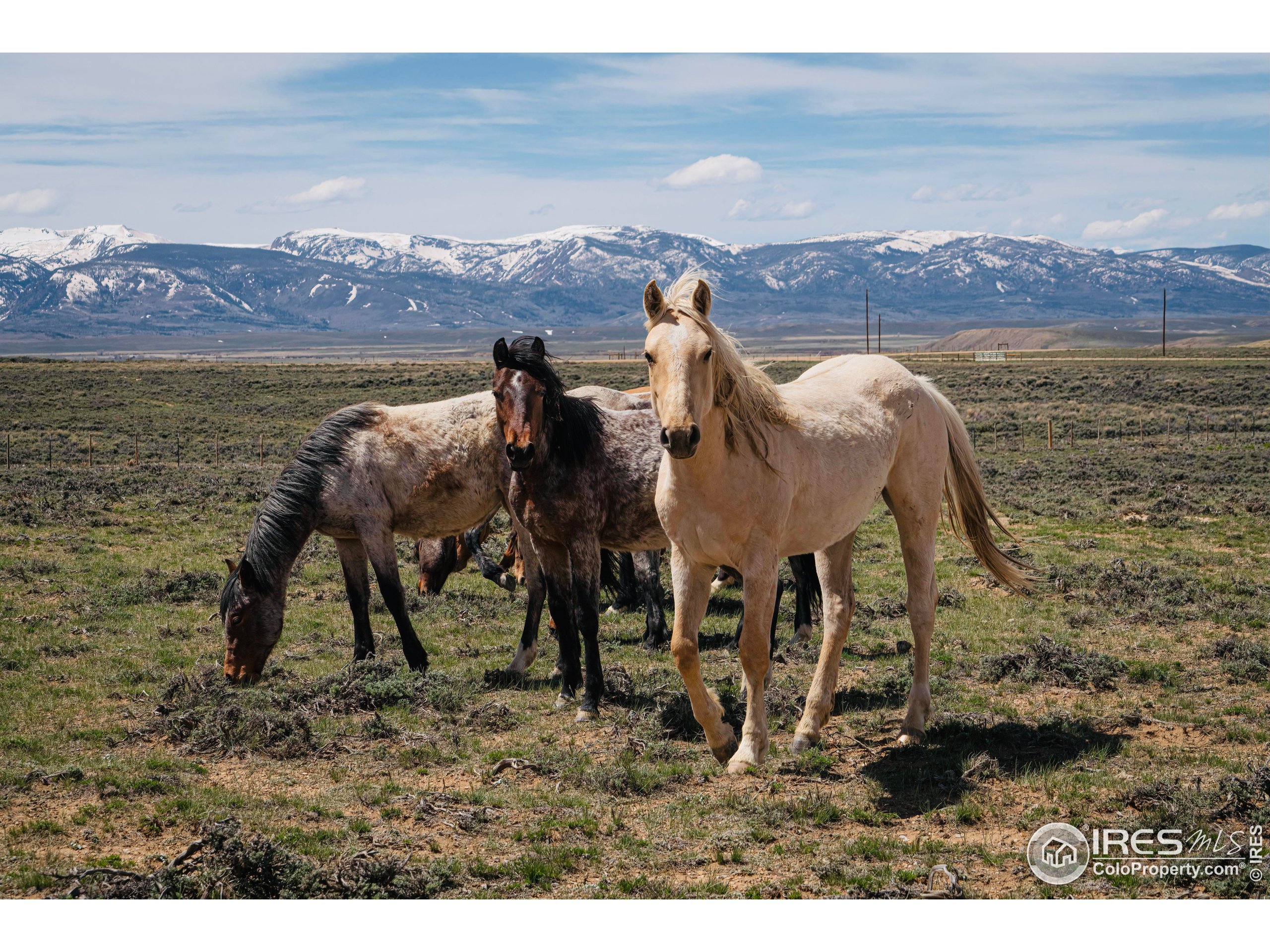 a view of a terrace with a table and chairs