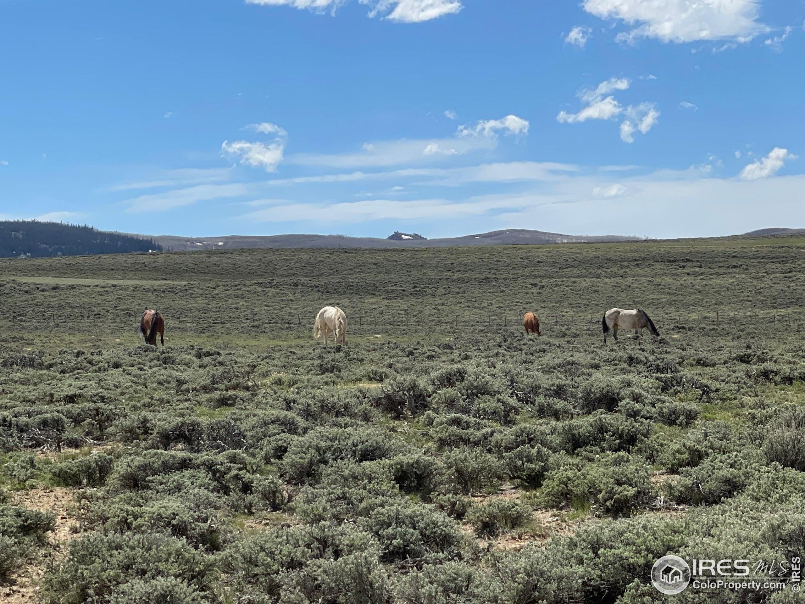 26 Jackson County Road Walden, CO 80430 - Photo 3 of 15 a view of a lake with mountain
