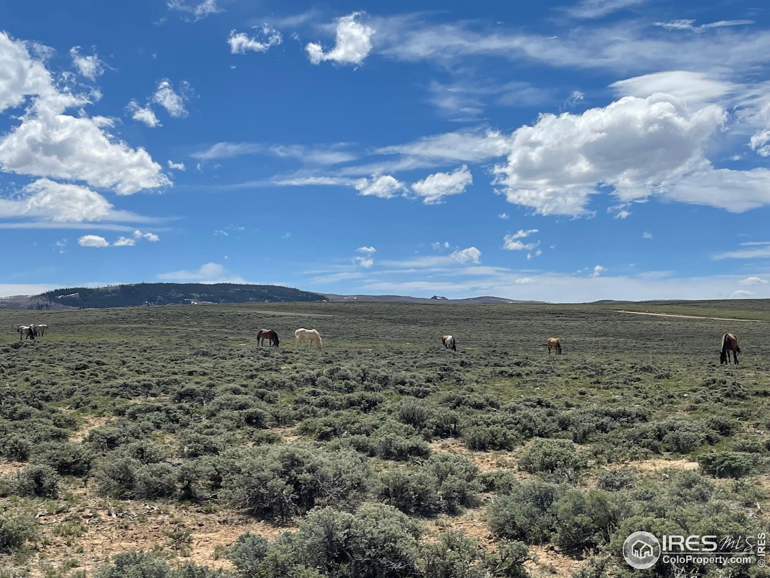 26 Jackson County Road Walden, CO 80430 - Photo 4 of 15 a view of a city
