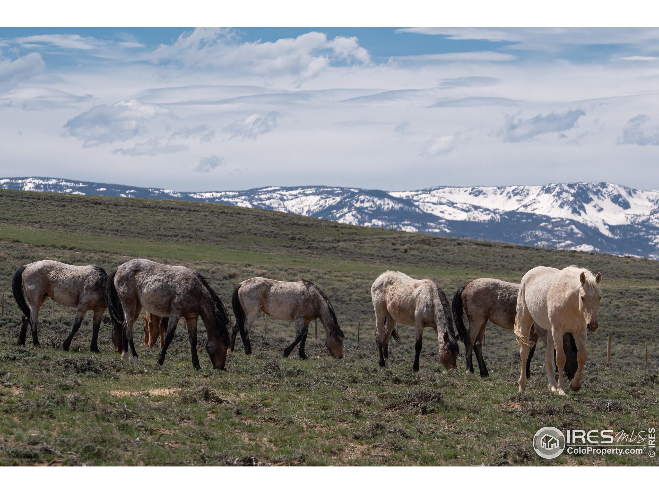 26 Jackson County Road Walden, CO 80430 - Photo 5 of 15 a view of a lake with a mountain in the background