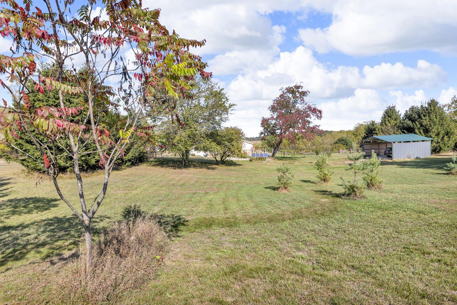 7762 Coon Hill Road Munith, MI 49259 - Photo 2 of 34 0N0A6118