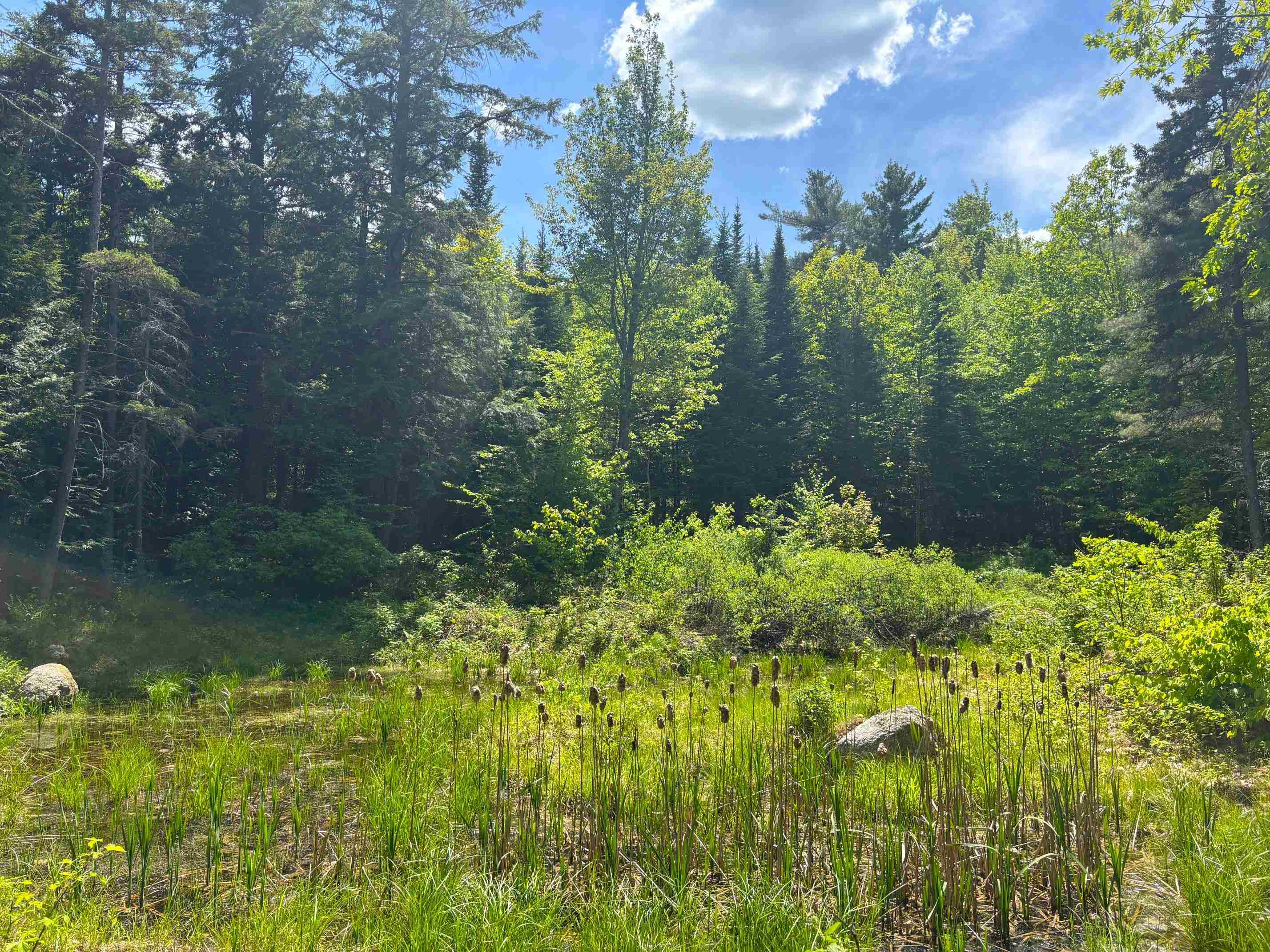 Lot 16 Granite Hill Road Wilmot, NH 03287 - Photo 11 of 13