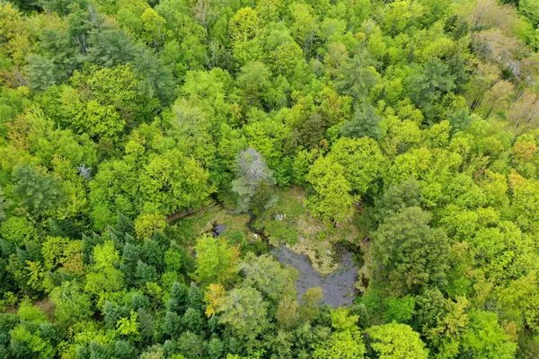 $195,000 | Lot 16 Granite Hill Road, Wilmot, NH 03287