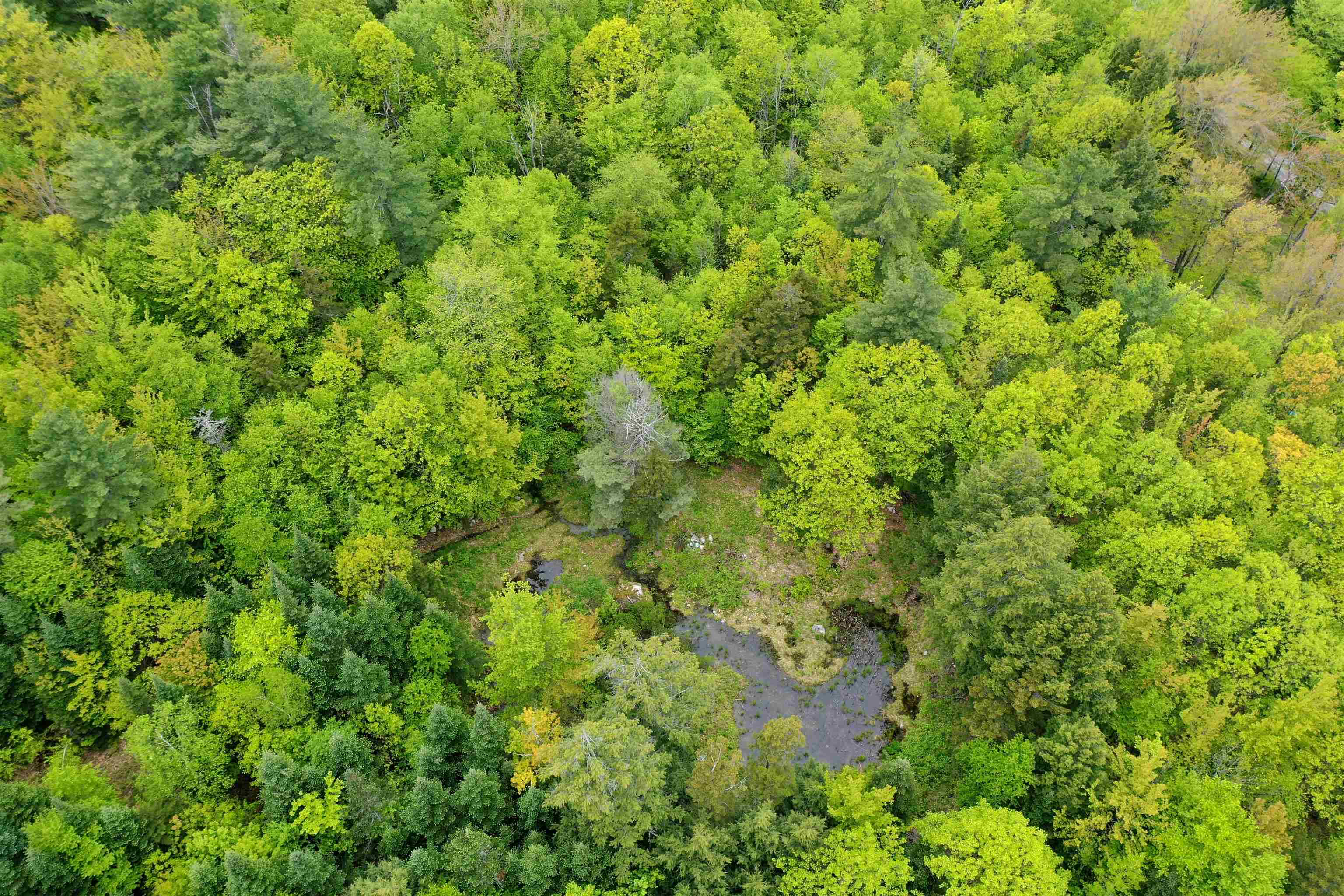 Lot 16 Granite Hill Road Wilmot, NH 03287 - Photo 12 of 13