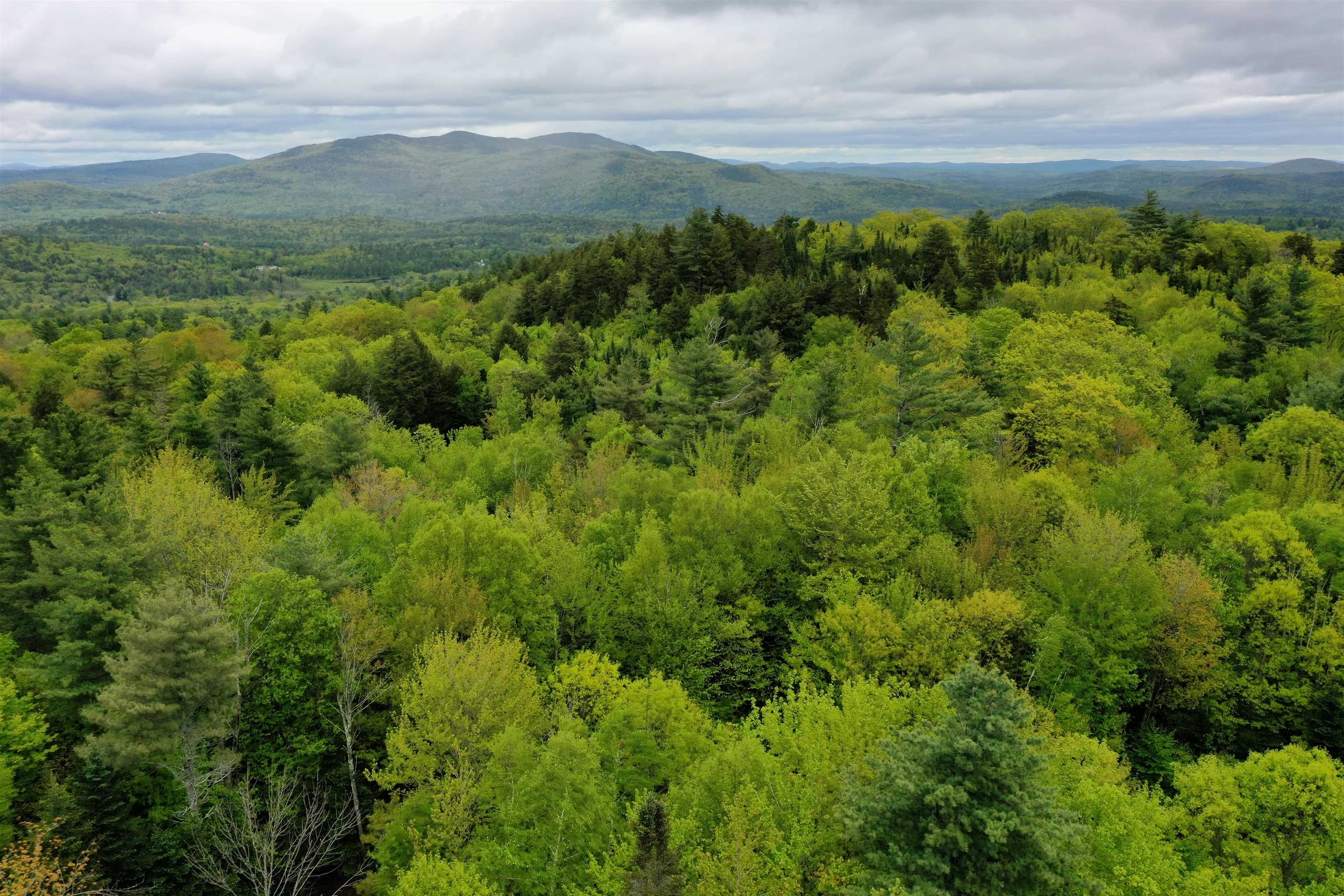 Lot 16 Granite Hill Road Wilmot, NH 03287 - Photo 13 of 13