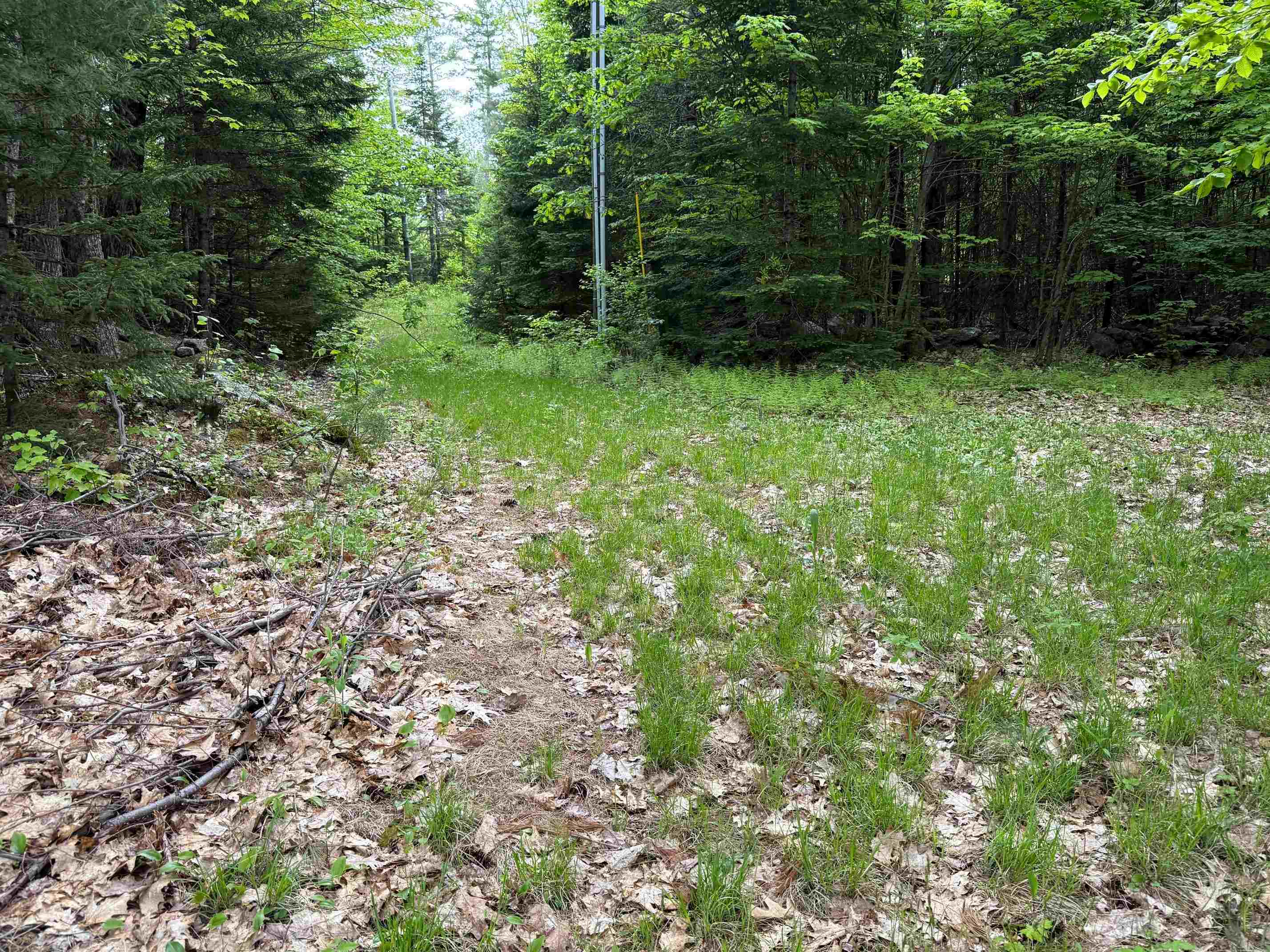 Lot 16 Granite Hill Road Wilmot, NH 03287 - Photo 9 of 13