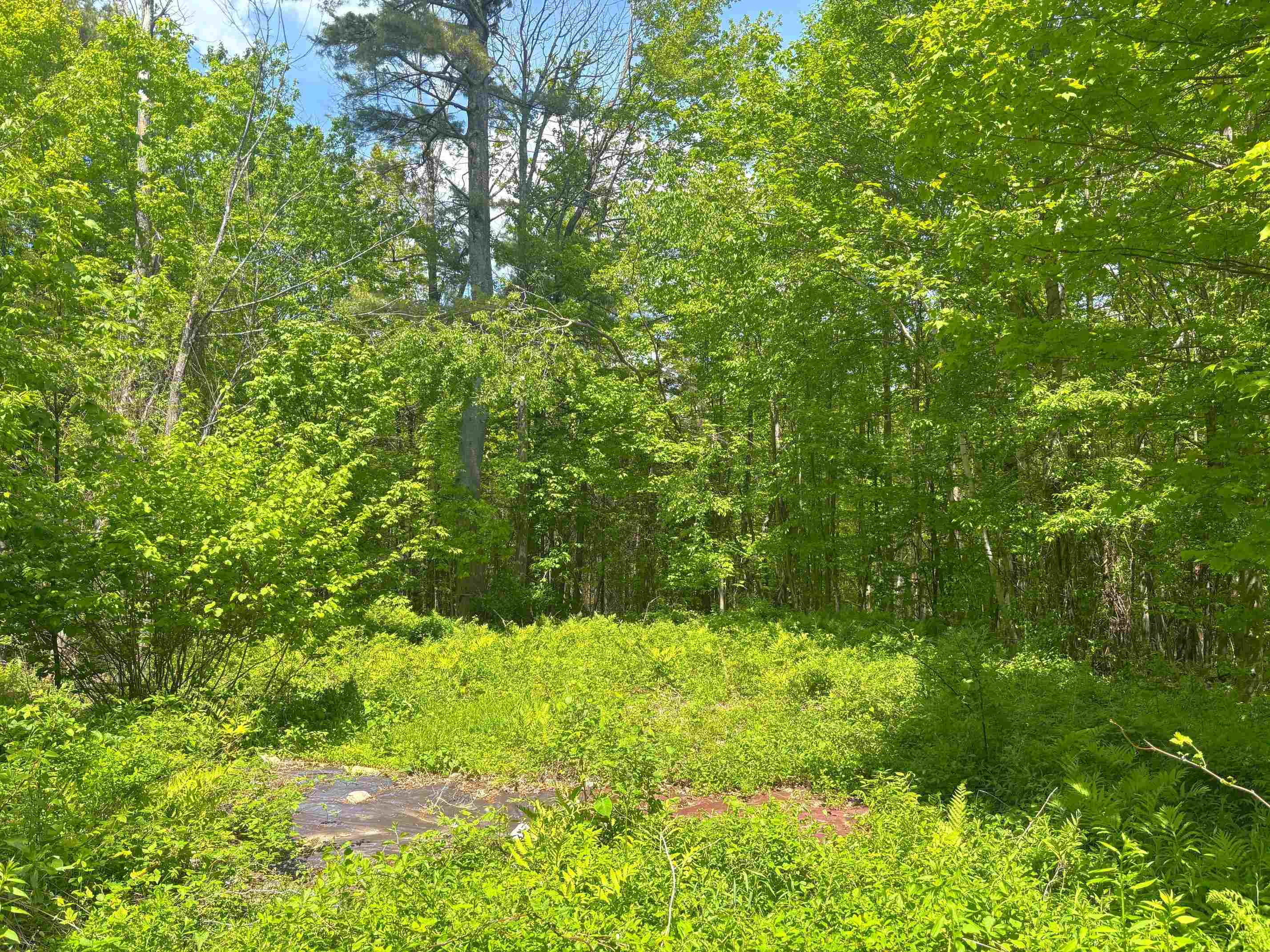 Lot 16 Granite Hill Road Wilmot, NH 03287 - Photo 10 of 13