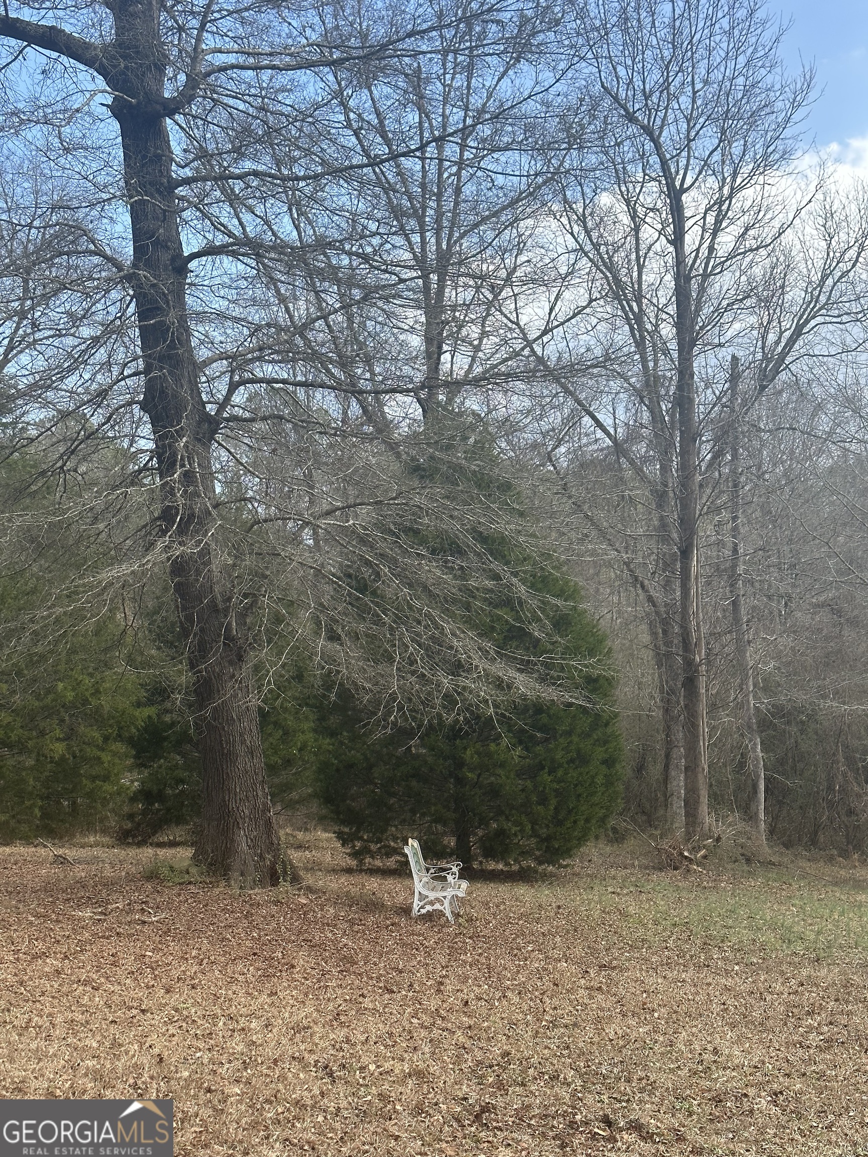 969 Flowers Road Molena, GA 30258 - Photo 12 of 16 a view of outdoor space with deck and trees