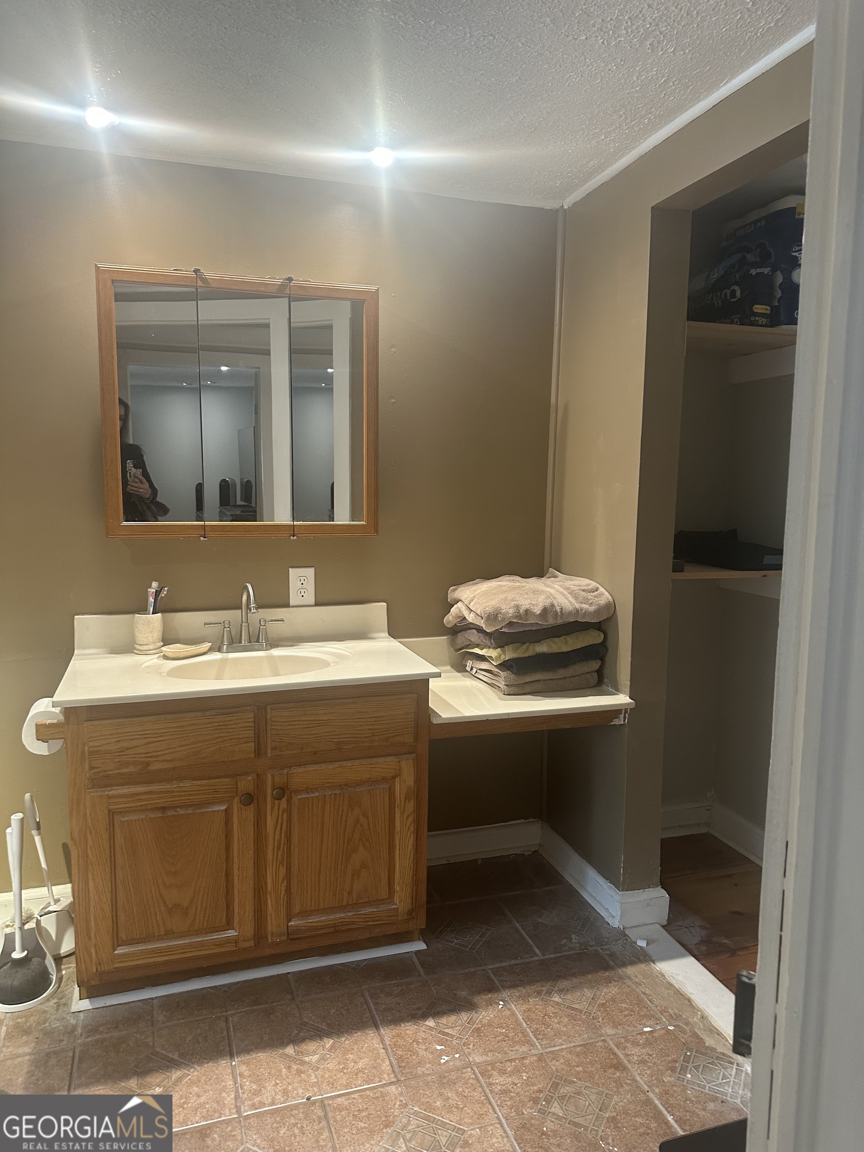 969 Flowers Road Molena, GA 30258 - Photo 16 of 16 a bathroom with a sink and a mirror