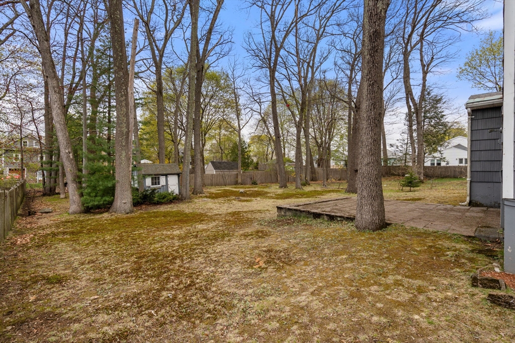 18 Royce Road Framingham, MA 01701 - Photo 27 of 30 a view of yard with tree