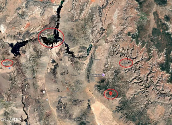 a street view of a tree