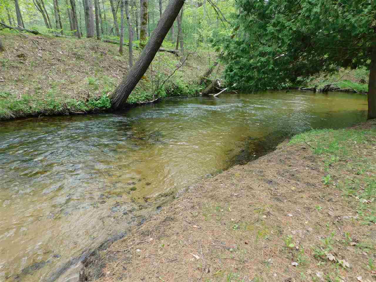 5263 South River Road Kalkaska, MI 49646 - Photo 2 of 28 1833422-1.JPG