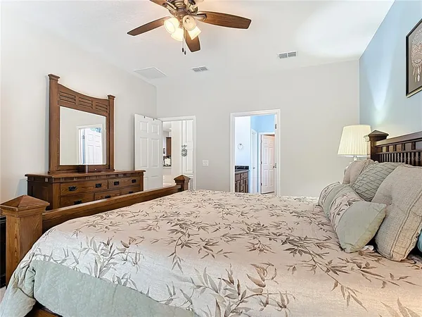 a view of a yard with plants