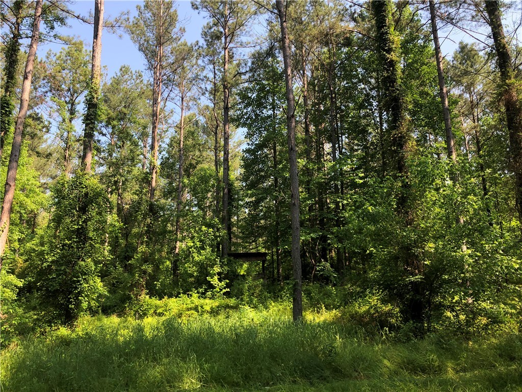 540 Oak Hill Road Belton, SC 29627 - Photo 15 of 23