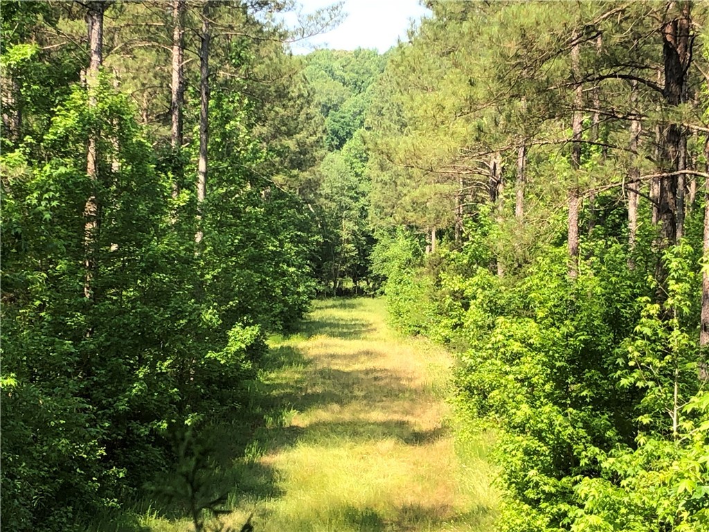 540 Oak Hill Road Belton, SC 29627 - Photo 18 of 23