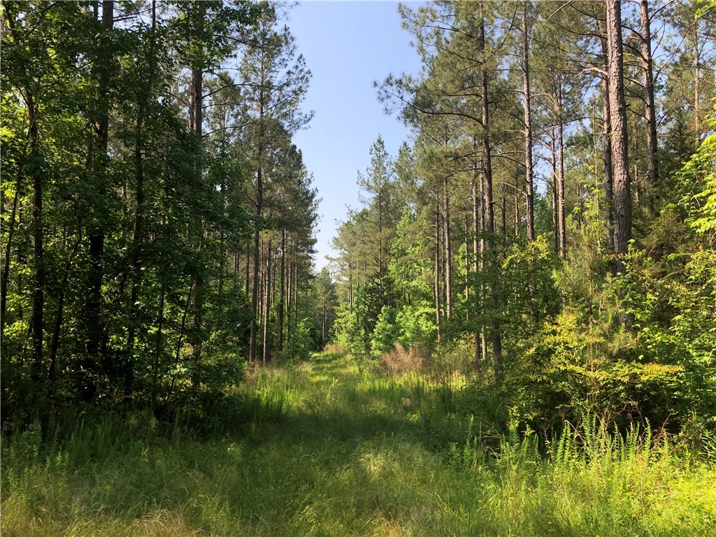 540 Oak Hill Road Belton, SC 29627 - Photo 19 of 23