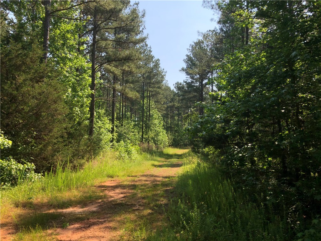 540 Oak Hill Road Belton, SC 29627 - Photo 21 of 23