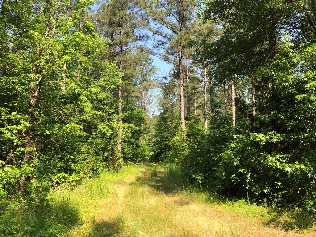 540 Oak Hill Road Belton, SC 29627 - Photo 22 of 23