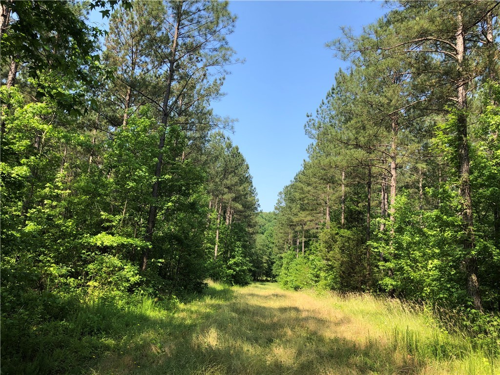 540 Oak Hill Road Belton, SC 29627 - Photo 23 of 23