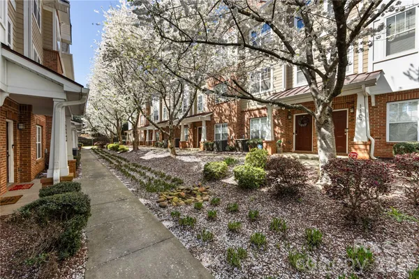 a view of a yard with plants and large trees