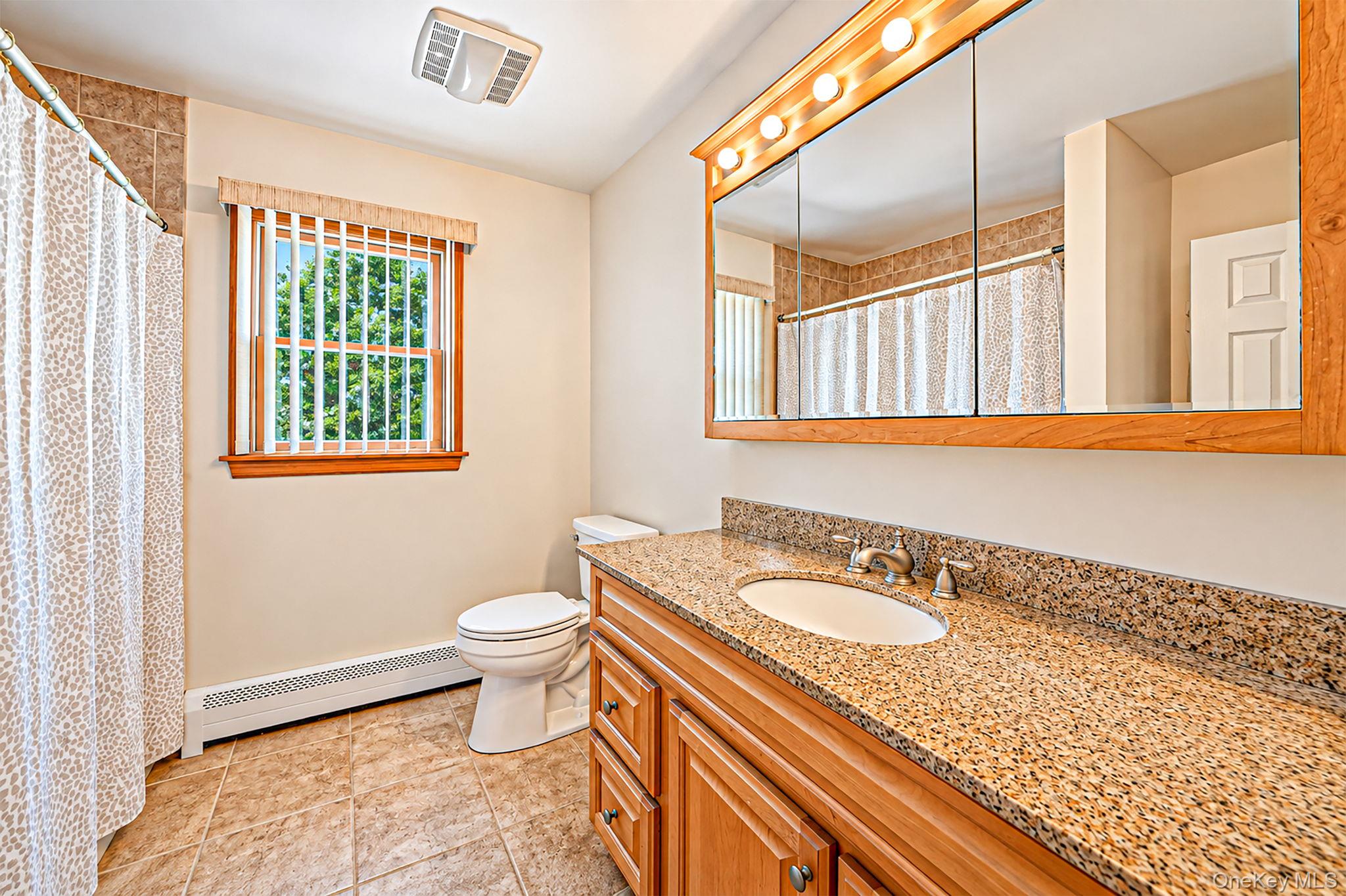16 Salem Road Hicksville, NY 11801 - Photo 21 of 50 Gallery Image 21