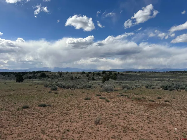 a view of a dry yard with lots of green space