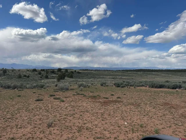 a view of a yard with an outdoor space