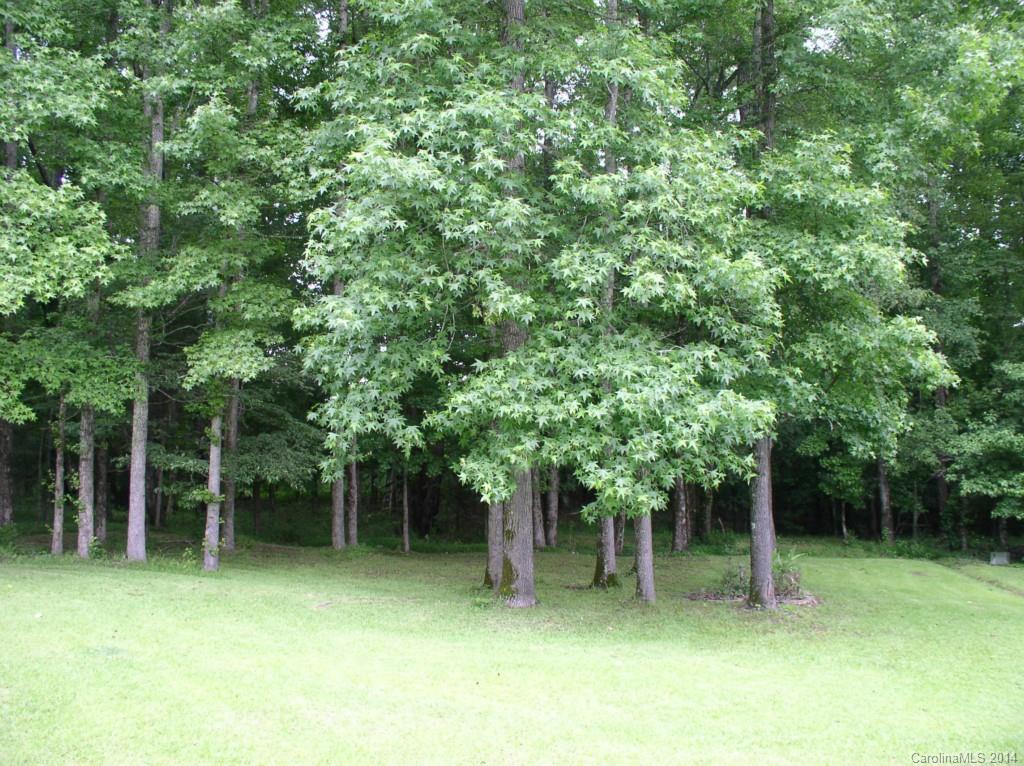 1031 Hollow Road Chester, SC 29706 - Photo 19 of 19 Gallery Image 19