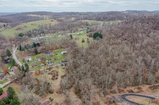 a view of a lush green hillside and houses