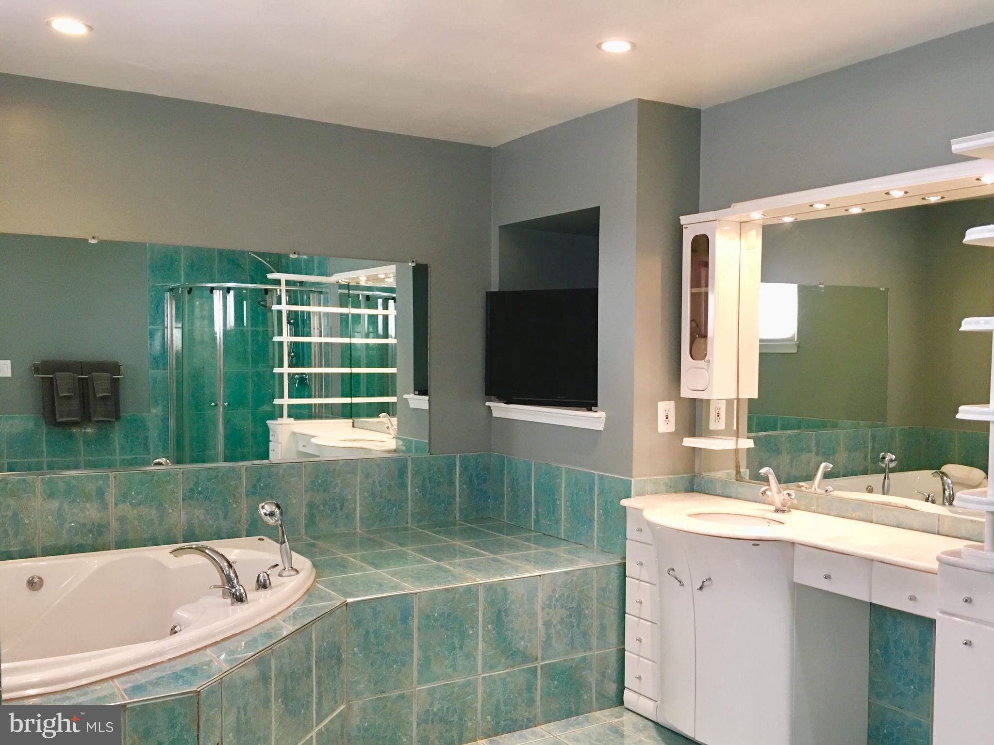 4 Eden Roc Court Baltimore, MD 21208 - Photo 11 of 22 Bath (Master)