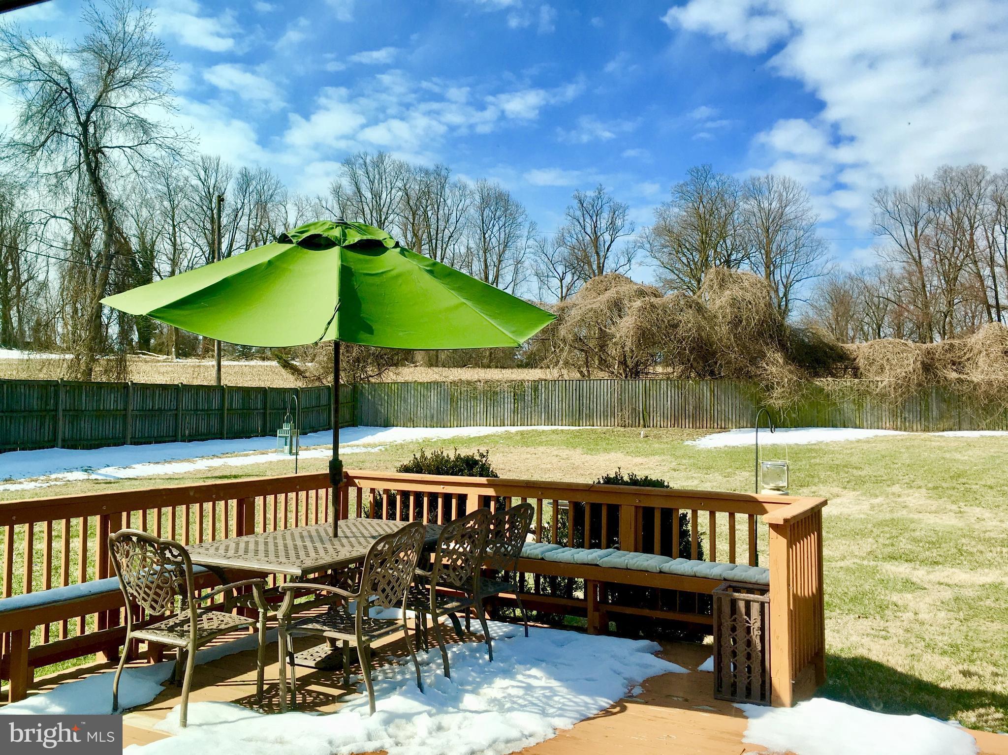 4 Eden Roc Court Baltimore, MD 21208 - Photo 20 of 22 Exterior (Rear)