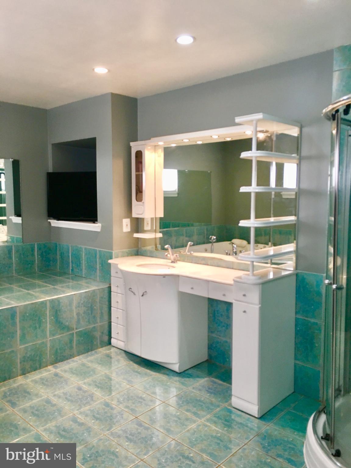 4 Eden Roc Court Baltimore, MD 21208 - Photo 10 of 22 Bath (Master)