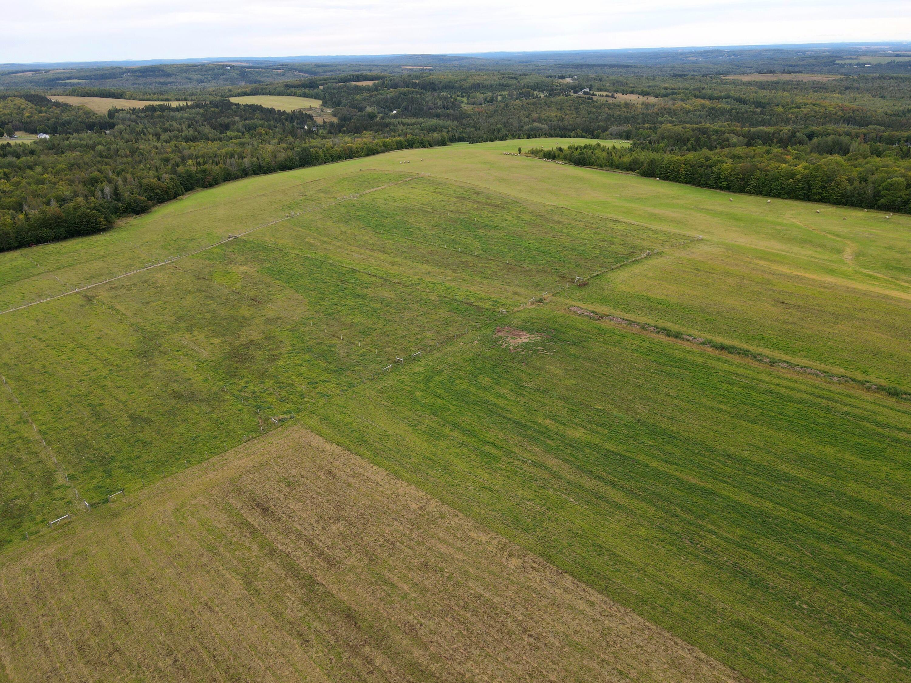 78 Blackstone Road Perham, ME 04766 - Photo 8 of 44 Photo_6554139_DJI_539_jpg_6321029_0_2021