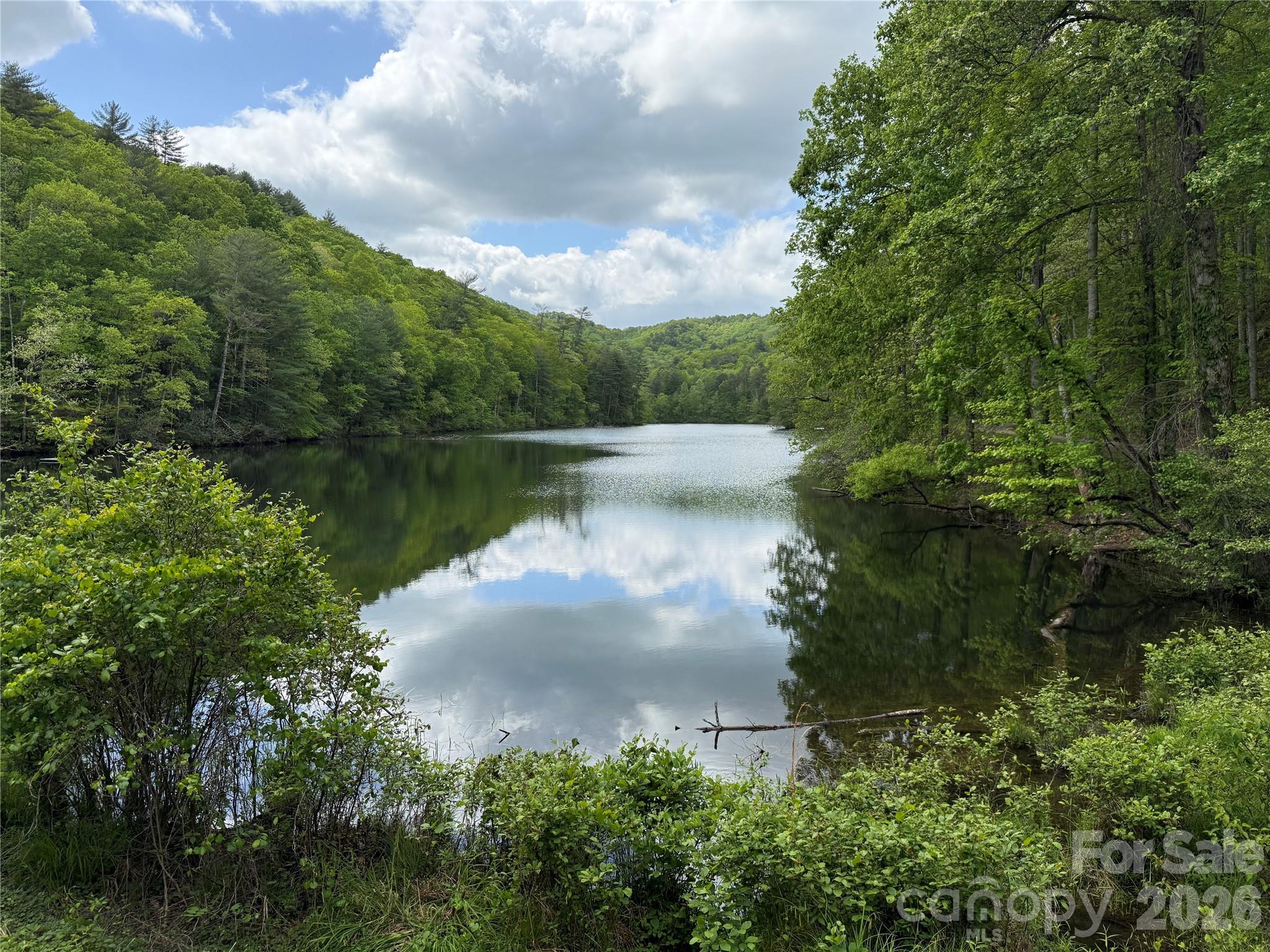 820 Shuler Lake Road Robbinsville, NC 28771 - Photo 4 of 32